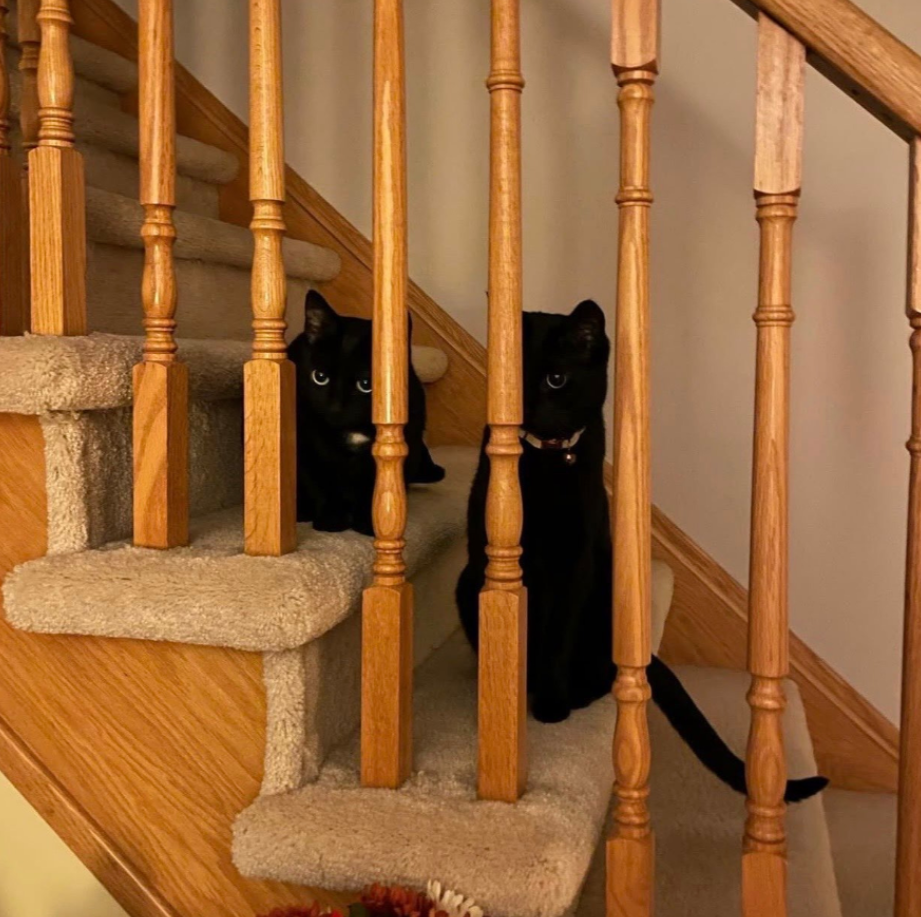 Ollie and Luna